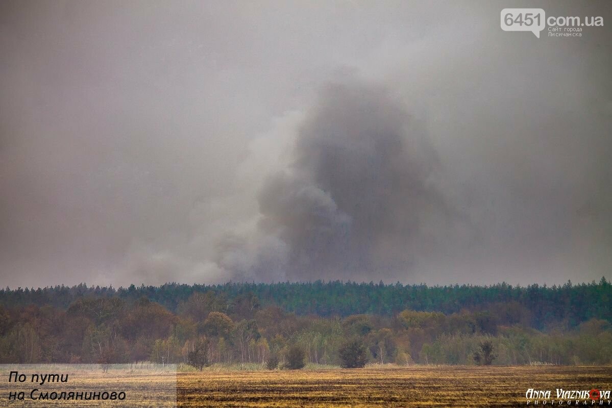 Последствия пожаров в Муратово и Сиротино, фото-18 Последствия пожаров в Муратово и Сиротино, фото-18