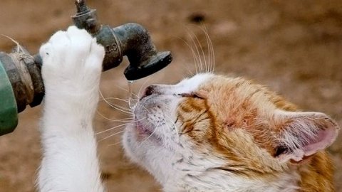 Лисичанск частично без воды - очередные порывы на магистральных вод... Лисичанск частично без воды - очередные порывы на магистральных водоводах, Оксана Хасьянова