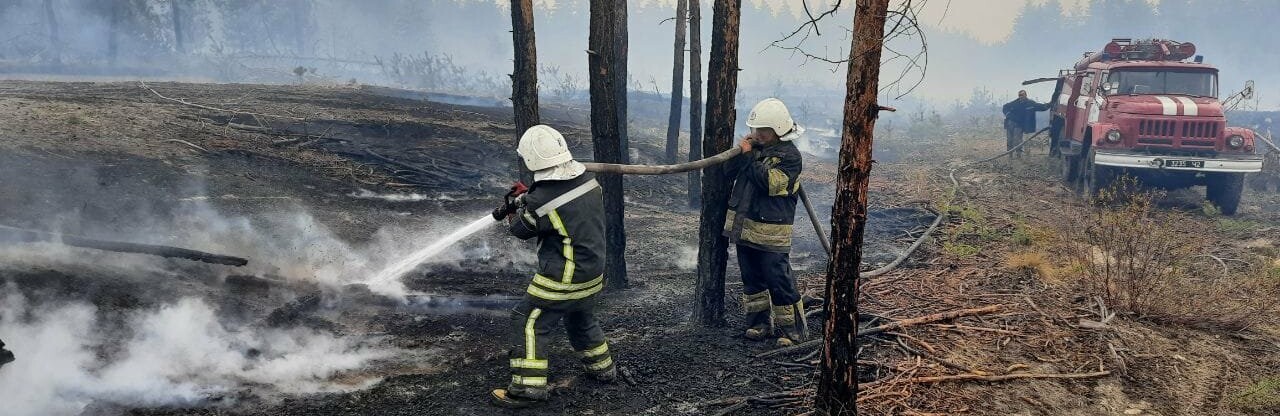 Огонь добрался и до Рубежного (ВИДЕО) Огонь добрался и до Рубежного (ВИДЕО), Маргарита Реброва